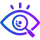 Vision